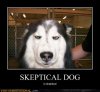 demotivational-posters-skeptical-dog.jpg