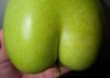 apple bottom.jpeg
