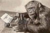 monkey_and_typewriter.jpg