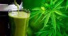 Woman-Replaces-40-Medications-With-Raw-Cannabis-Juice.jpg