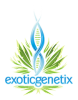 exotic_logo.png
