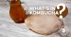 what-is-in-kombucha_header2-02.jpg