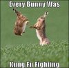 Kung Fu bunnies.jpg