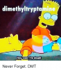 dimethyltryptamin-hey-cool-im-deadl-never-forget-dmt-14880592.png