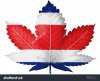 stock-photo-the-costa-rica-flag-painted-on-cannabis-or-marijuana-leaf-120387652.jpg