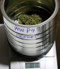 Panama-P4-Buds-Seeded-WeighIn-1.JPG