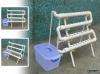 hydroponic-garden-looking-for-nutrients-with-pvc.png