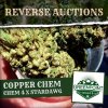 copper-chem-reverse-auction-greenpoint-seeds.jpg