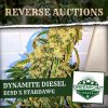 dynamite-diesel-greenpoint-seeds-reverse-auctions.jpg