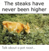the-steaks-have-never-been-higher-talk-about-a-pot-55084974.png