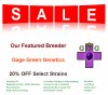 Gage Green Sale.jpg