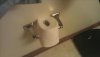 toilet-paper-roll-wtf-pictures.jpg