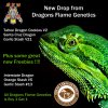 Dragons Flame Genetics - Drop 12-18-20.jpg