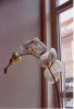 Orchid_by_switch3453.jpg