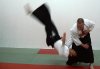aikido-stenudd.jpg
