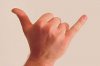 220px-Gesture_raised_fist_with_thumb_and_pinky_lifted.jpg
