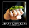 grass knuckles.jpg