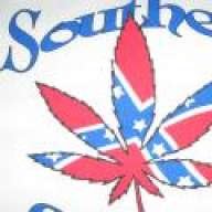 southern homegrower