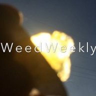 WeedWeekly