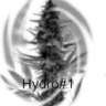 Hydro#1