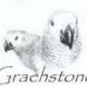 Graehstone