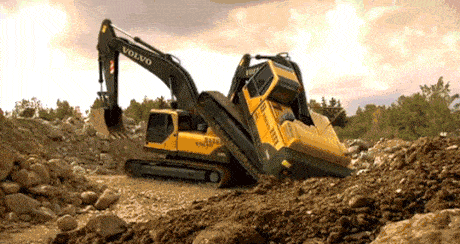 Never captured before on film, here we can see the complex mating dance of  the wild excavator | Best funny videos, Youtubers funny, Funny gif
