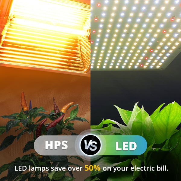 HPS vs. LED light