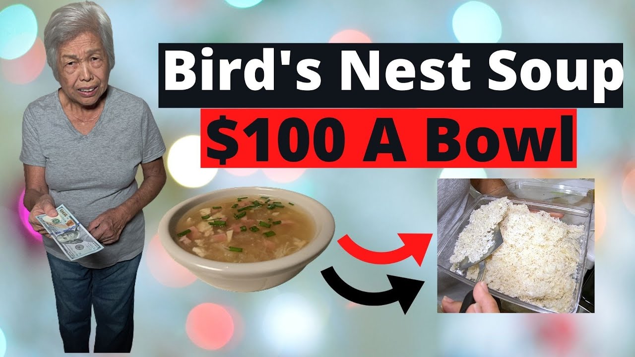 Bird's Nest Soup | One of the Most Expensive Soups in the World   Expensive but worth it - YouTube