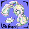 LSD_Bunny.png