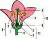 flower.gif