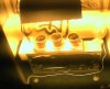 Day 7 (growroom changed).jpg