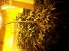 100_0774.jpg