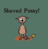 shaved-pussy.jpg