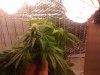 2012-01-22 18.16.30.jpg