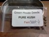 1 GHS -Pure Kush Seeds.jpg