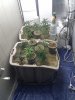 IMG_20120225_182418.jpg