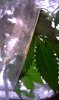 IMAG0069.jpg