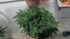 2012-05-22_14-56-05_495.jpg