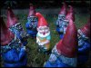 zombie-garden-gnomes.jpg