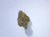 Blue Dream.jpg