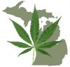 Michigan-w-pot-leaf[1].jpg