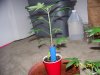 Party Grow 4 011.jpg