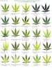 Marijuana_Nutrient_Deficiency_Chart_Custom.jpg