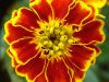 DSC02350.jpg