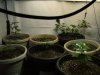 2-10-13 veg room 6.jpg