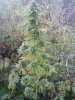 downsized_1002081603.jpg