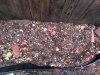 Planting Patch 2.jpg