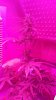 20140712_001549.jpg