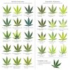 best_cannabis_deficiency_visual_chart.jpg
