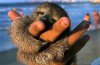 Favorite 17 - Sloth.jpg